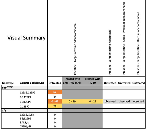 Visual Summary Grid
